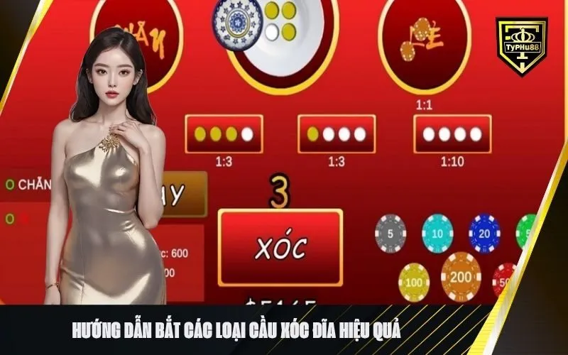 Hướng dẫn Bắt Các Loại Cầu Xóc Đĩa Hiệu Quả