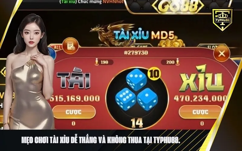 Mẹo chơi tài xỉu dễ thắng và không thua tại typhu88.